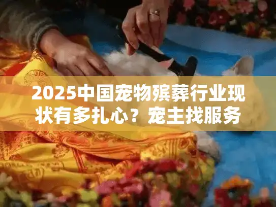 2025中国宠物殡葬行业现状有多扎心？宠主找服务必避的3个坑