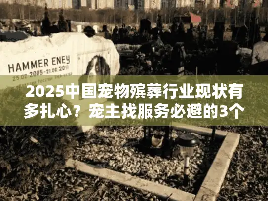 2025中国宠物殡葬行业现状有多扎心？宠主找服务必避的3个坑