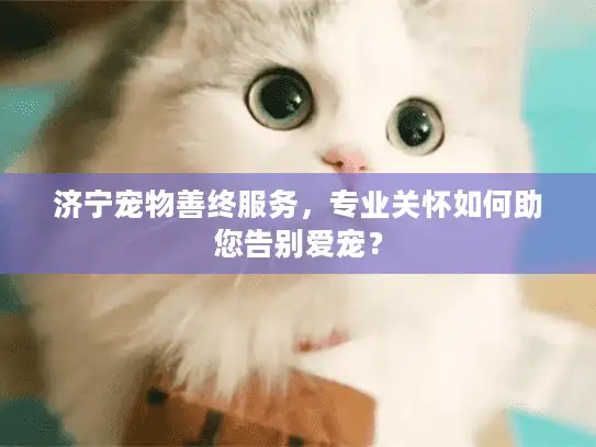济宁宠物善终服务，专业关怀如何助您告别爱宠？