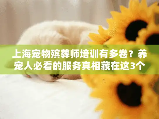 上海宠物殡葬师培训有多卷？养宠人必看的服务真相藏在这3个案例里