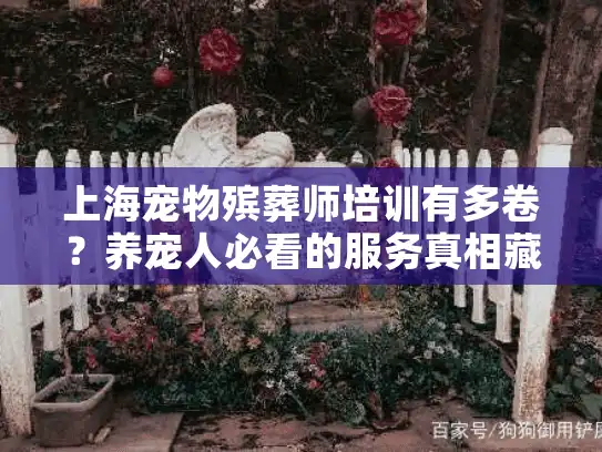 上海宠物殡葬师培训有多卷？养宠人必看的服务真相藏在这3个案例里