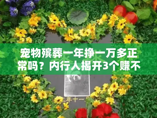 宠物殡葬一年挣一万多正常吗？内行人揭开3个赚不到钱的隐形坑