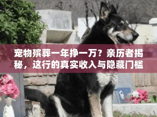 宠物殡葬一年挣一万？亲历者揭秘，这行的真实收入与隐藏门槛
