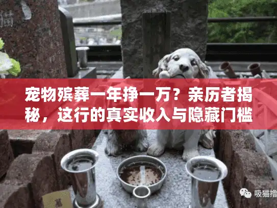 宠物殡葬一年挣一万？亲历者揭秘，这行的真实收入与隐藏门槛