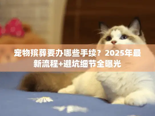 宠物殡葬要办哪些手续？2025年最新流程+避坑细节全曝光