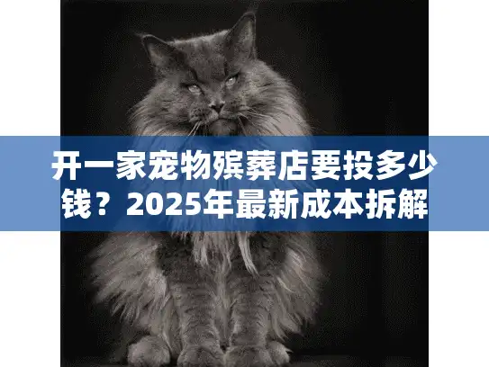 开一家宠物殡葬店要投多少钱？2025年最新成本拆解+3个真实案例避坑