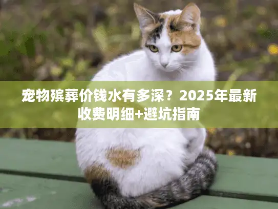 宠物殡葬价钱水有多深？2025年最新收费明细+避坑指南