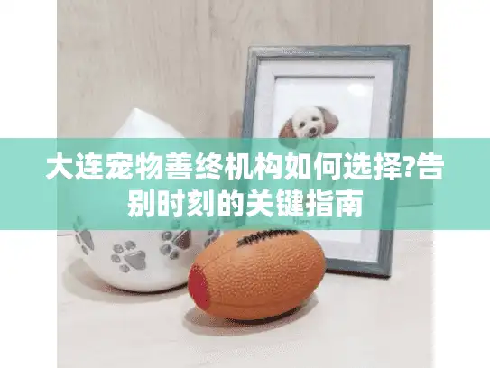 大连宠物善终机构如何选择?告别时刻的关键指南