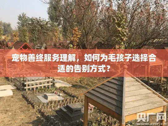 宠物善终服务理解，如何为毛孩子选择合适的告别方式？