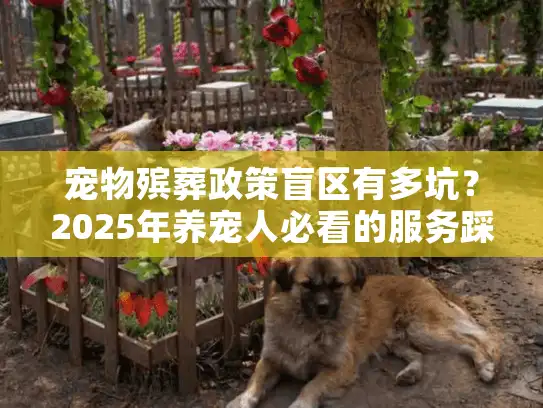 宠物殡葬政策盲区有多坑？2025年养宠人必看的服务踩雷实录