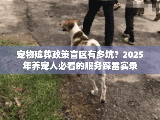 宠物殡葬政策盲区有多坑？2025年养宠人必看的服务踩雷实录