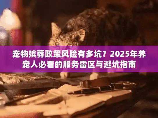 宠物殡葬政策风险有多坑？2025年养宠人必看的服务雷区与避坑指南