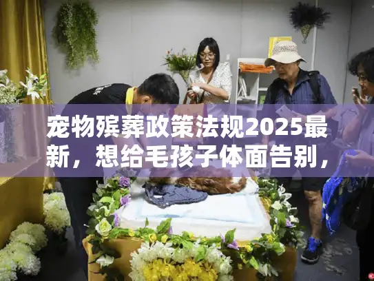 宠物殡葬政策法规2025最新，想给毛孩子体面告别，这些红线千万不能踩？
