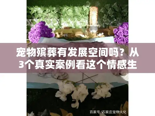 宠物殡葬有发展空间吗？从3个真实案例看这个情感生意的赚钱逻辑