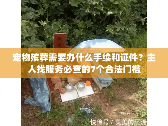 宠物殡葬需要办什么手续和证件？主人找服务必查的7个合法门槛