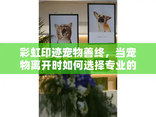 彩虹印迹宠物善终，当宠物离开时如何选择专业的殡葬服务？