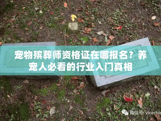 宠物殡葬师资格证在哪报名？养宠人必看的行业入门真相