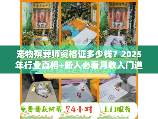 宠物殡葬师资格证多少钱？2025年行业真相+新人必看月收入门道