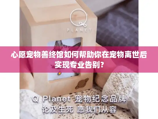 心愿宠物善终馆如何帮助你在宠物离世后实现专业告别？
