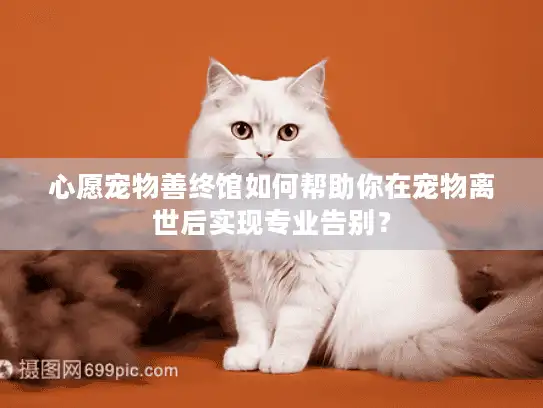 心愿宠物善终馆如何帮助你在宠物离世后实现专业告别？