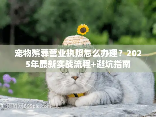 宠物殡葬营业执照怎么办理？2025年最新实战流程+避坑指南
