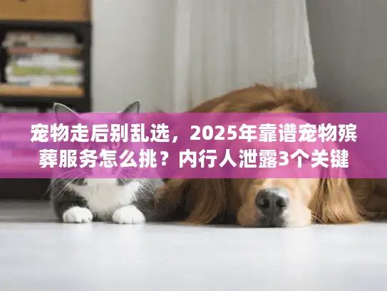 宠物走后别乱选，2025年靠谱宠物殡葬服务怎么挑？内行人泄露3个关键