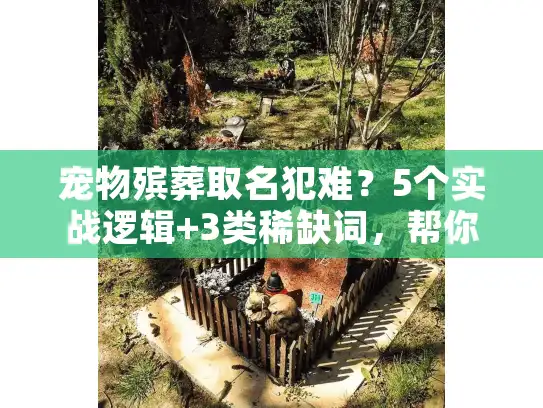 宠物殡葬取名犯难？5个实战逻辑+3类稀缺词，帮你取出有温度的告别名