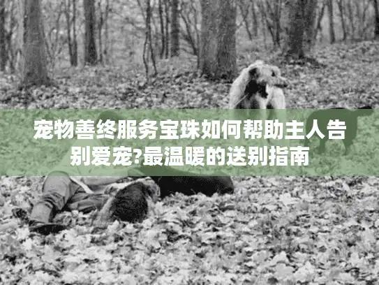 宠物善终服务宝珠如何帮助主人告别爱宠?最温暖的送别指南