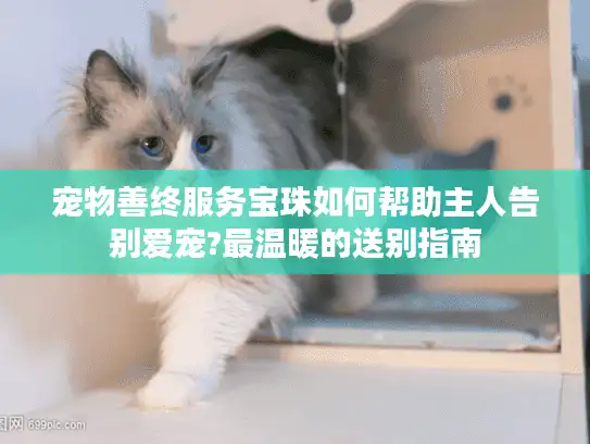 宠物善终服务宝珠如何帮助主人告别爱宠?最温暖的送别指南