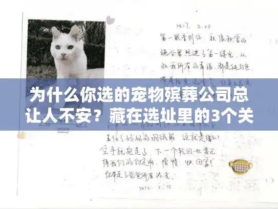为什么你选的宠物殡葬公司总让人不安？藏在选址里的3个关键真相