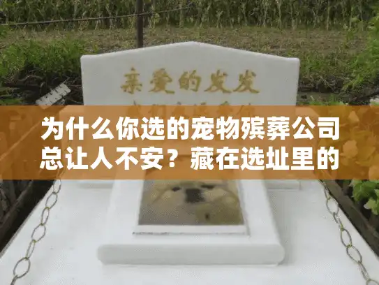 为什么你选的宠物殡葬公司总让人不安？藏在选址里的3个关键真相