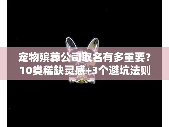 宠物殡葬公司取名有多重要？10类稀缺灵感+3个避坑法则，帮你取到有记忆点的好名字