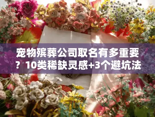 宠物殡葬公司取名有多重要？10类稀缺灵感+3个避坑法则，帮你取到有记忆点的好名字