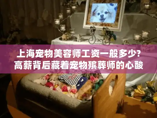 上海宠物美容师工资一般多少?高薪背后藏着宠物殡葬师的心酸选择