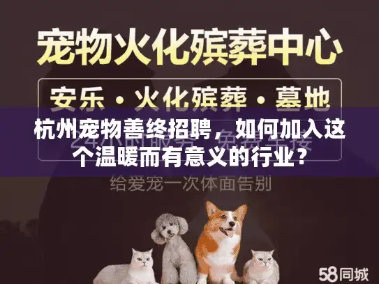 杭州宠物善终招聘，如何加入这个温暖而有意义的行业？