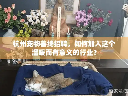 杭州宠物善终招聘，如何加入这个温暖而有意义的行业？