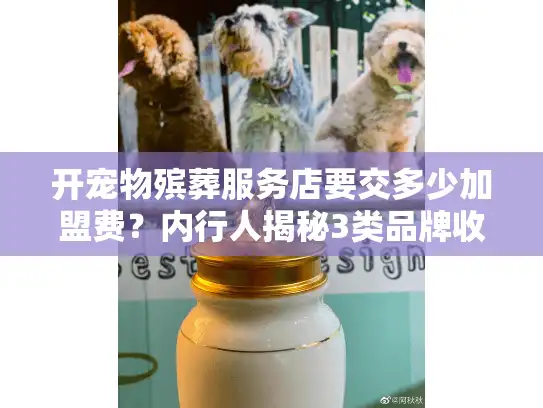 开宠物殡葬服务店要交多少加盟费？内行人揭秘3类品牌收费真相