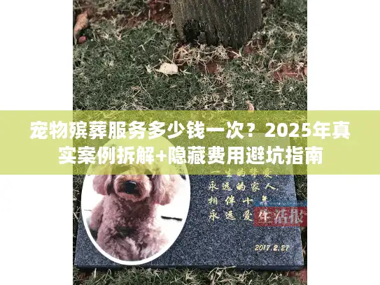 宠物殡葬服务多少钱一次？2025年真实案例拆解+隐藏费用避坑指南