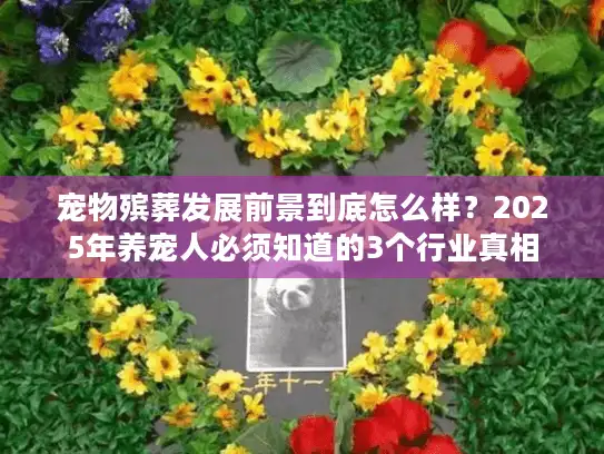 宠物殡葬发展前景到底怎么样？2025年养宠人必须知道的3个行业真相
