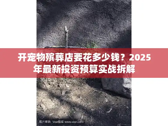 开宠物殡葬店要花多少钱？2025年最新投资预算实战拆解