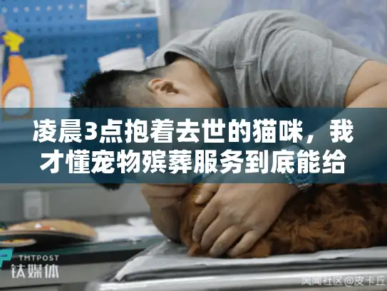凌晨3点抱着去世的猫咪，我才懂宠物殡葬服务到底能给我们什么？