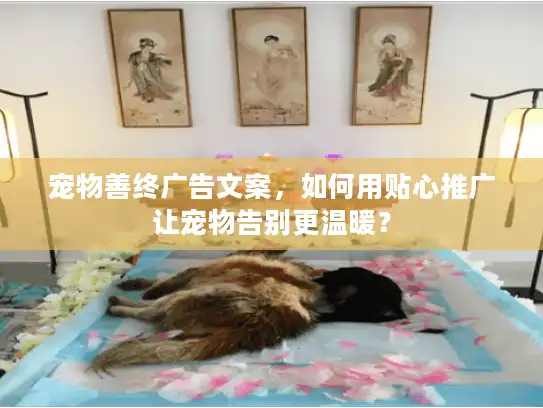宠物善终广告文案，如何用贴心推广让宠物告别更温暖？