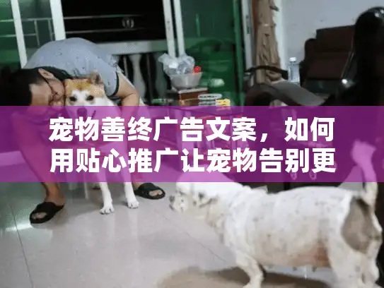 宠物善终广告文案，如何用贴心推广让宠物告别更温暖？
