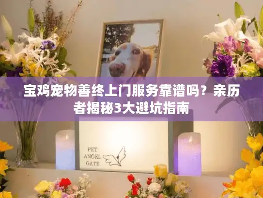 宝鸡宠物善终上门服务靠谱吗？亲历者揭秘3大避坑指南