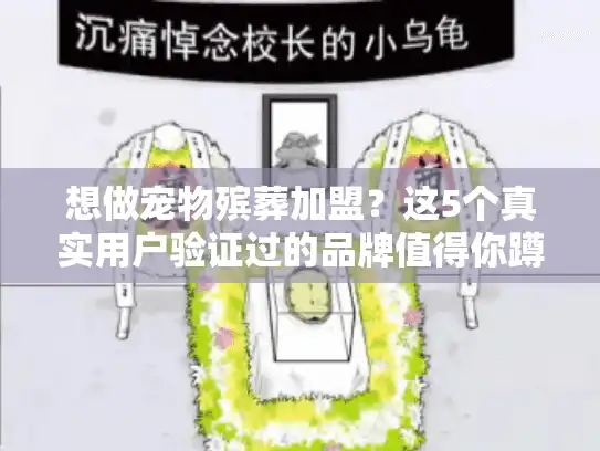 想做宠物殡葬加盟？这5个真实用户验证过的品牌值得你蹲！