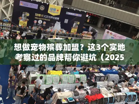 想做宠物殡葬加盟？这3个实地考察过的品牌帮你避坑（2025年最新版）