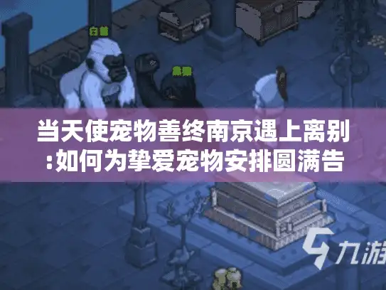 当天使宠物善终南京遇上离别:如何为挚爱宠物安排圆满告别？