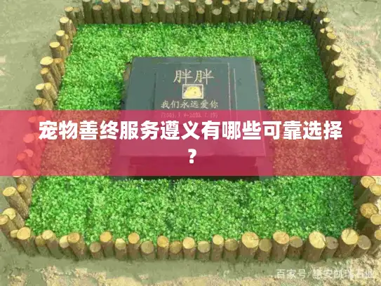 宠物善终服务遵义有哪些可靠选择？