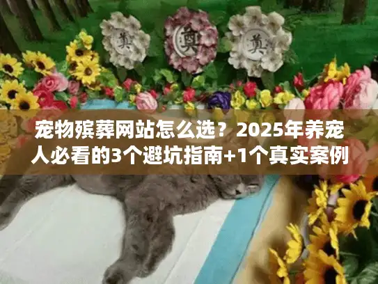 宠物殡葬网站怎么选？2025年养宠人必看的3个避坑指南+1个真实案例