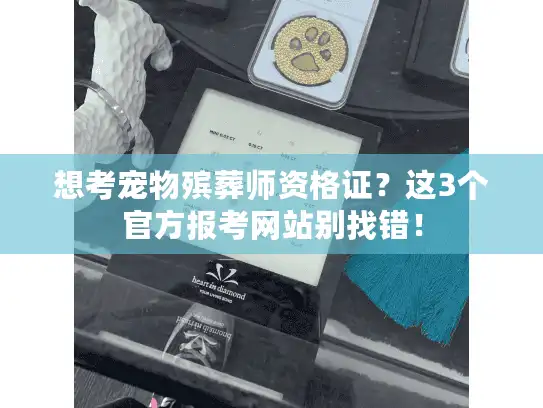 想考宠物殡葬师资格证？这3个官方报考网站别找错！